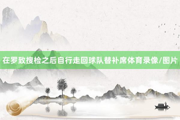 在罗致搜检之后自行走回球队替补席体育录像/图片