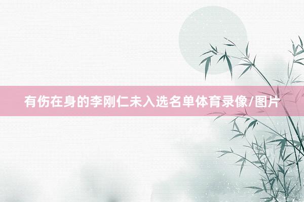 有伤在身的李刚仁未入选名单体育录像/图片