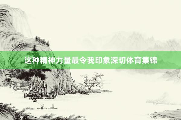 这种精神力量最令我印象深切体育集锦