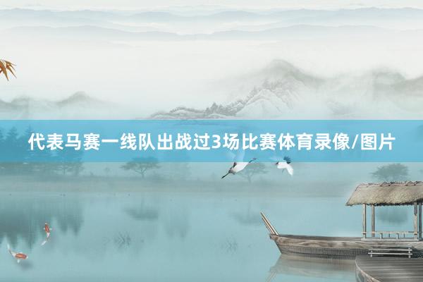代表马赛一线队出战过3场比赛体育录像/图片