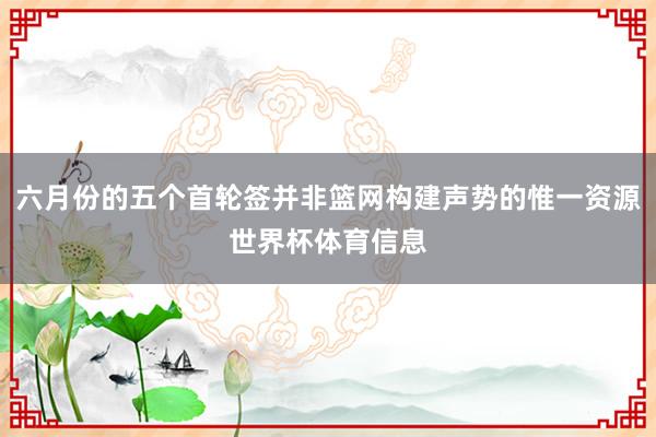六月份的五个首轮签并非篮网构建声势的惟一资源世界杯体育信息
