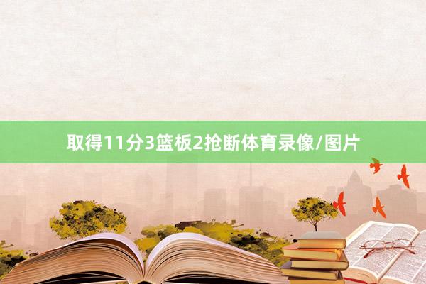 取得11分3篮板2抢断体育录像/图片
