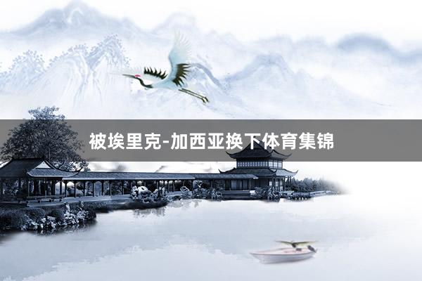 被埃里克-加西亚换下体育集锦