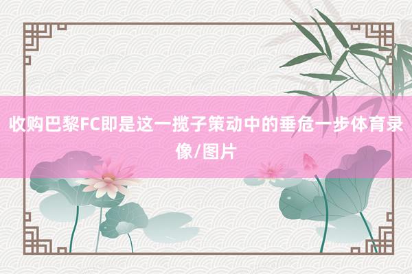 收购巴黎FC即是这一揽子策动中的垂危一步体育录像/图片