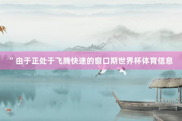 ”由于正处于飞腾快速的窗口期世界杯体育信息