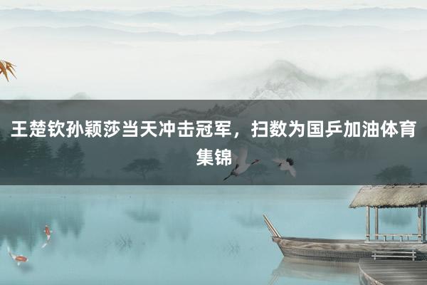 王楚钦孙颖莎当天冲击冠军，扫数为国乒加油体育集锦