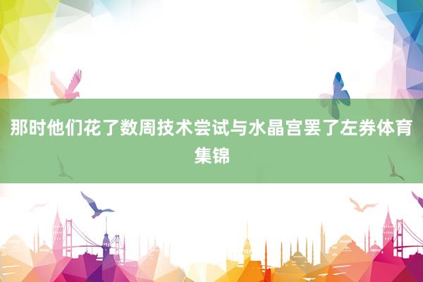 那时他们花了数周技术尝试与水晶宫罢了左券体育集锦