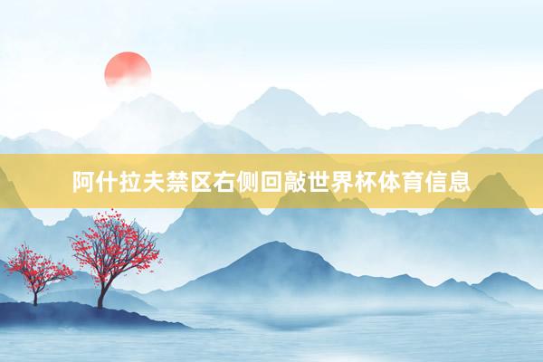 阿什拉夫禁区右侧回敲世界杯体育信息