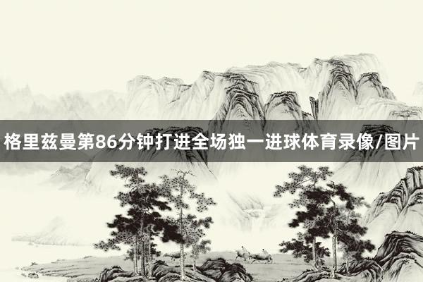 格里兹曼第86分钟打进全场独一进球体育录像/图片