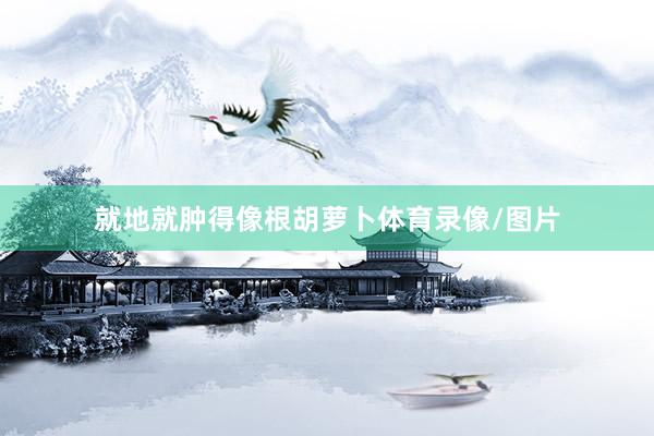 就地就肿得像根胡萝卜体育录像/图片