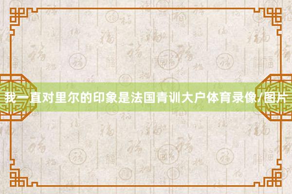我一直对里尔的印象是法国青训大户体育录像/图片