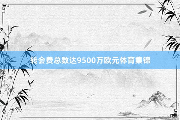 转会费总数达9500万欧元体育集锦