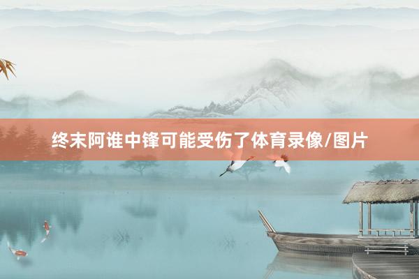 终末阿谁中锋可能受伤了体育录像/图片