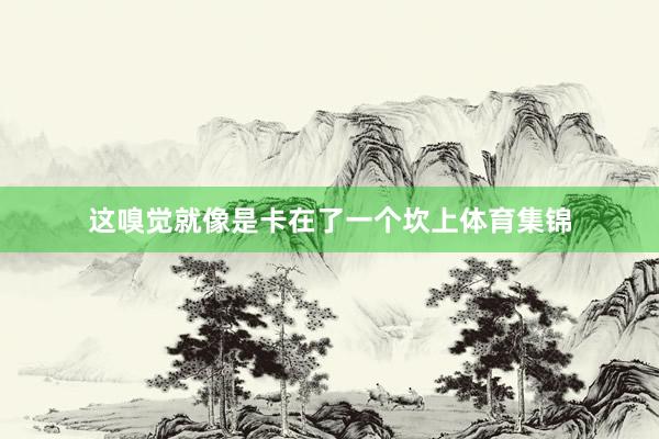 这嗅觉就像是卡在了一个坎上体育集锦