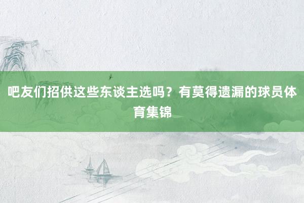 吧友们招供这些东谈主选吗？有莫得遗漏的球员体育集锦