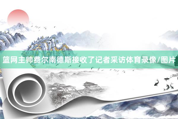 篮网主帅费尔南德斯接收了记者采访体育录像/图片