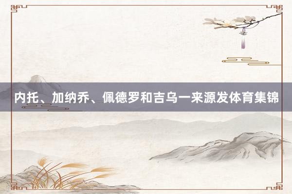 内托、加纳乔、佩德罗和吉乌一来源发体育集锦