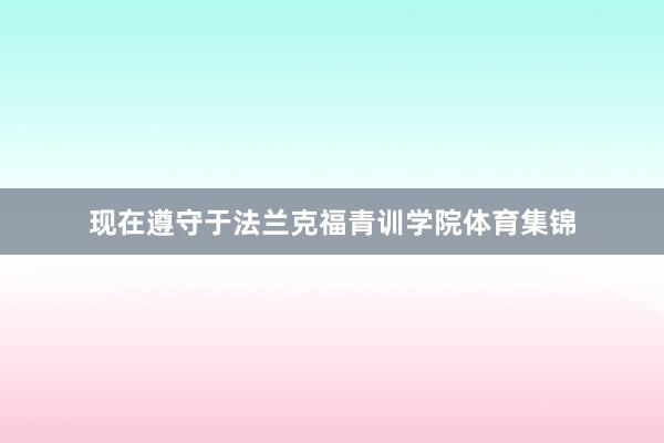 现在遵守于法兰克福青训学院体育集锦