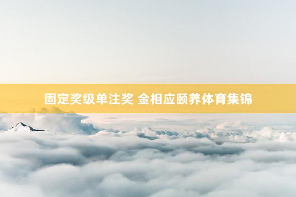固定奖级单注奖 金相应颐养体育集锦