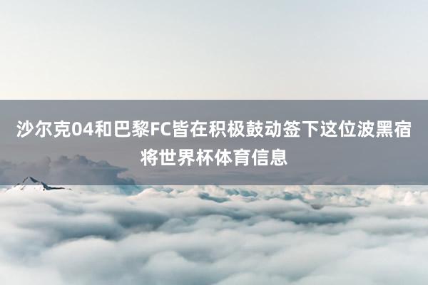 沙尔克04和巴黎FC皆在积极鼓动签下这位波黑宿将世界杯体育信息