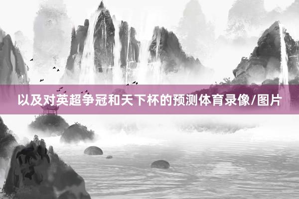 以及对英超争冠和天下杯的预测体育录像/图片