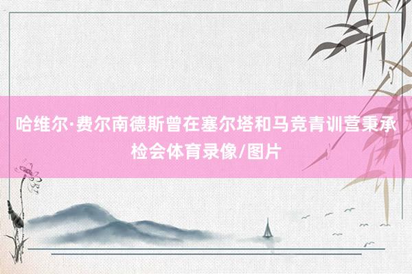 哈维尔·费尔南德斯曾在塞尔塔和马竞青训营秉承检会体育录像/图片
