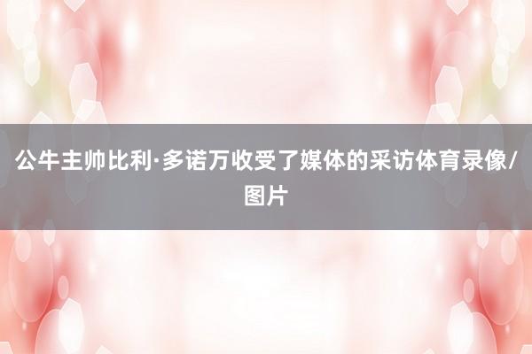 公牛主帅比利·多诺万收受了媒体的采访体育录像/图片