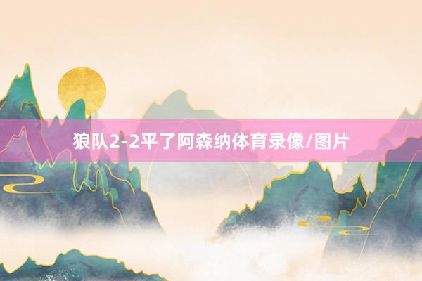 狼队2-2平了阿森纳体育录像/图片
