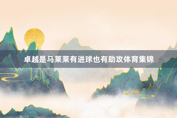 卓越是马莱莱有进球也有助攻体育集锦