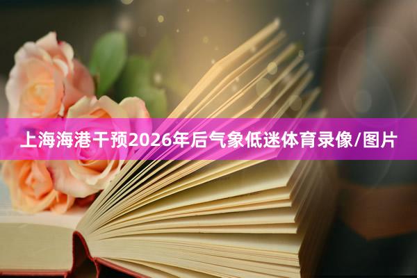 上海海港干预2026年后气象低迷体育录像/图片