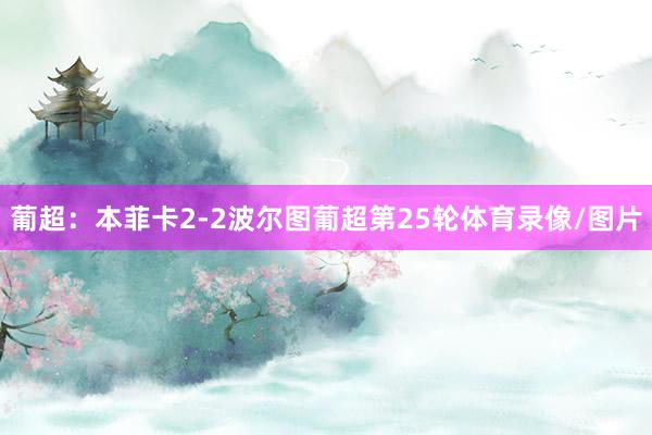 葡超：本菲卡2-2波尔图葡超第25轮体育录像/图片