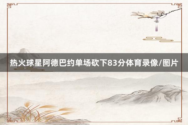 热火球星阿德巴约单场砍下83分体育录像/图片