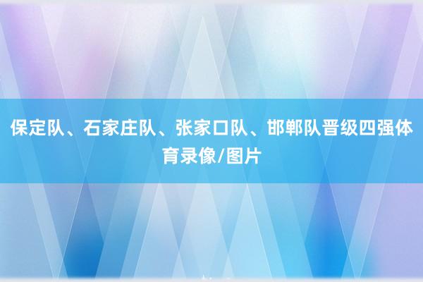 保定队、石家庄队、张家口队、邯郸队晋级四强体育录像/图片