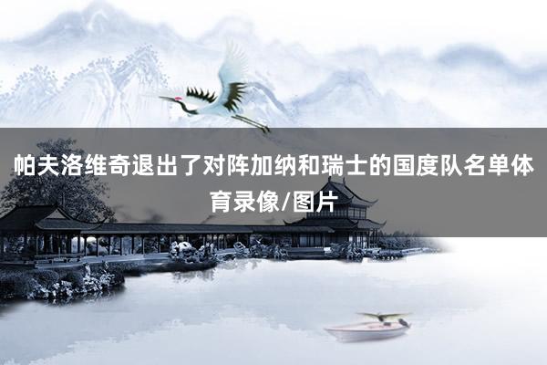帕夫洛维奇退出了对阵加纳和瑞士的国度队名单体育录像/图片