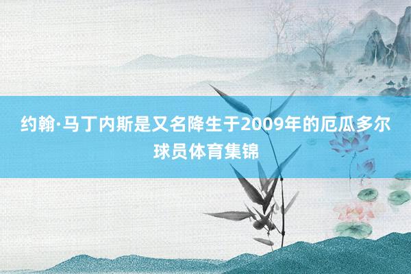 约翰·马丁内斯是又名降生于2009年的厄瓜多尔球员体育集锦