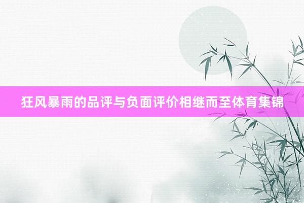 狂风暴雨的品评与负面评价相继而至体育集锦