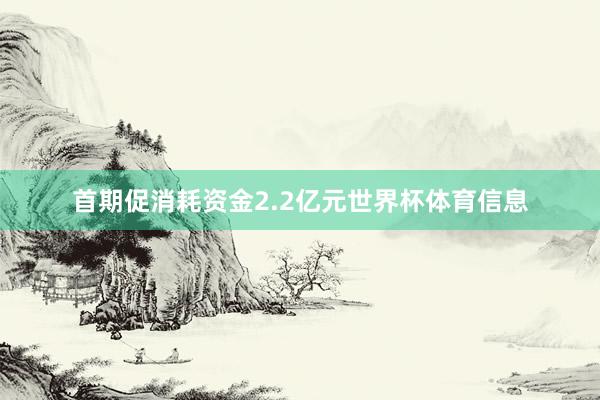 首期促消耗资金2.2亿元世界杯体育信息