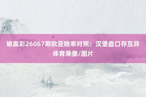 输赢彩26067期欧亚赔率对照：汉堡盘口存互异体育录像/图片