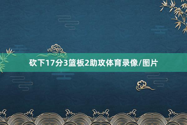 砍下17分3篮板2助攻体育录像/图片