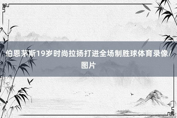 伯恩茅斯19岁时尚拉扬打进全场制胜球体育录像/图片